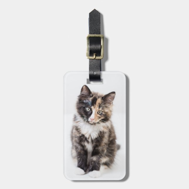 Adorable Calico Kitten Luggage Tag (Front Vertical)