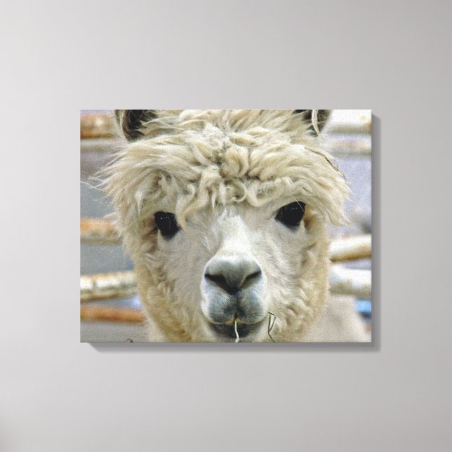 Adorable Canvas Print (Front)
