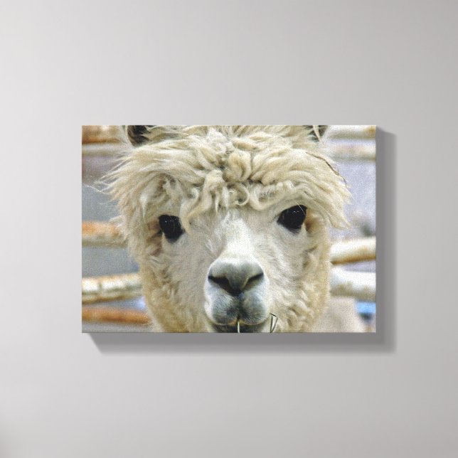Adorable Canvas Print (Front)