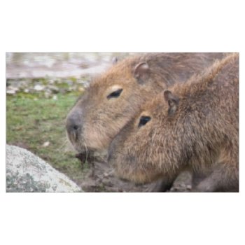 Adorable Capybaras  Fabric by MehrFarbeImLeben at Zazzle