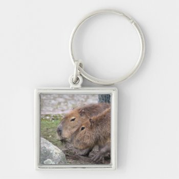 Adorable Capybaras Keychain by MehrFarbeImLeben at Zazzle