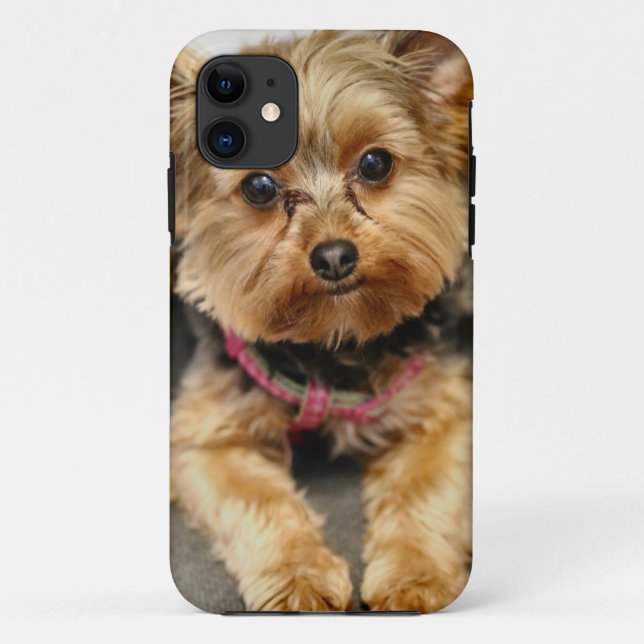 Adorable Case-Mate iPhone Case (Back)