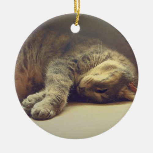 Adorable Cat Ceramic Ornament