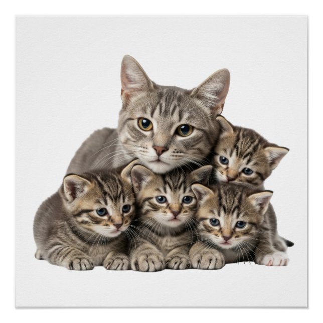 "Adorable Cat Family Cuddle" Poster (Front)