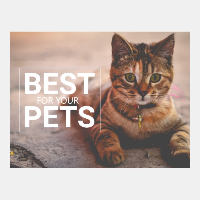 Adorable Cat Pet Services Postcard Template (Front)