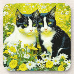 Adorable Cats sitting in a field of Daisies  Beverage Coaster