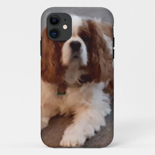 Adorable Cavalier King Charles Spaniel iPhone 11 Case