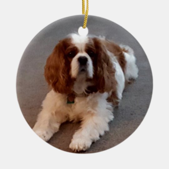 cavalier king charles spaniel garden ornament