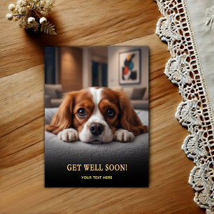 Adorable Cavalier King Charles Spaniel Get Well Postcard