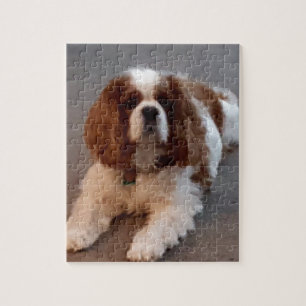 Adorable Cavalier King Charles Spaniel Jigsaw Puzzle
