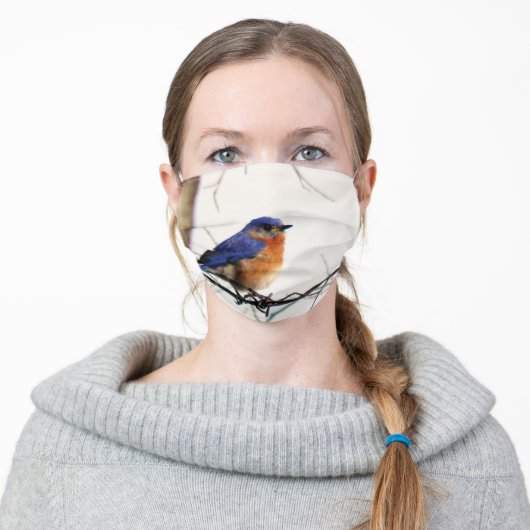 Adorable Cheerful Eastern Bluebird Adult Cloth Face Mask (Worn)