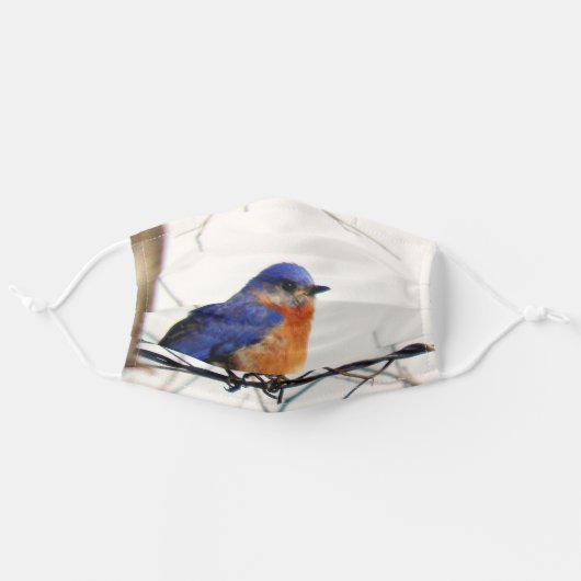 Adorable Cheerful Eastern Bluebird Adult Cloth Face Mask (Front, Unfolded)