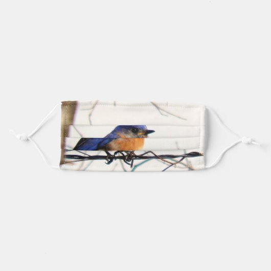 Adorable Cheerful Eastern Bluebird Adult Cloth Face Mask (Front, Folded)