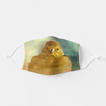 Adorable Cheerful Goldfinch Bird Closeup Adult Cloth Face Mask by Vanillaextinctions at Zazzle