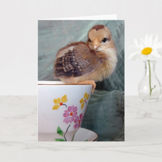 Adorable Chick on a Teacup by Angelandspot Card (Small Plant)