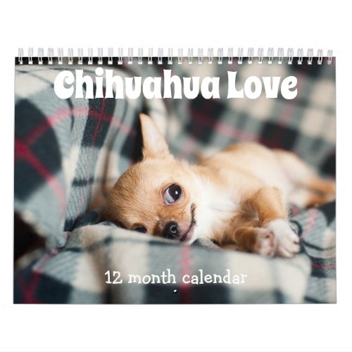 Adorable Chihuahua Dogs 2024 Calendar