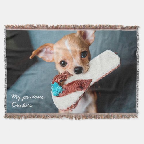 Adorable Chihuahua Photo Throw Blanket