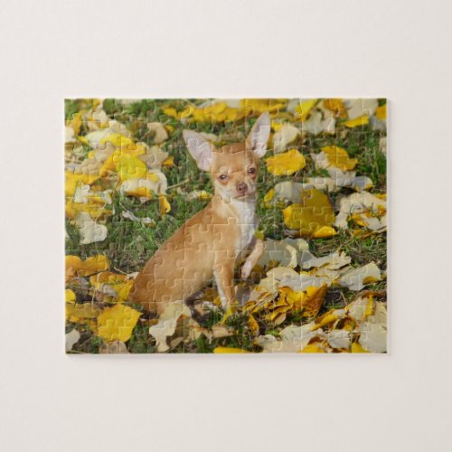 Adorable Chihuahua Puppy Between Yellow Leaves Jigsaw Puzzle