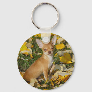 Adorable Chihuahua Puppy Between Yellow Leaves Keychain
