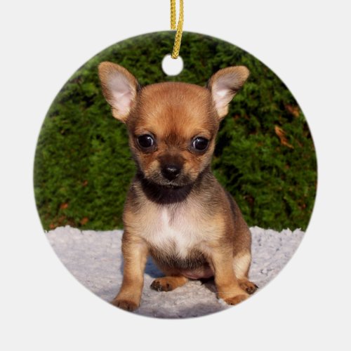 Adorable Chihuahua Puppy Dog Ceramic Ornament