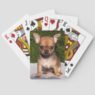 Adorable Chihuahua Puppy Dog Poker Cards