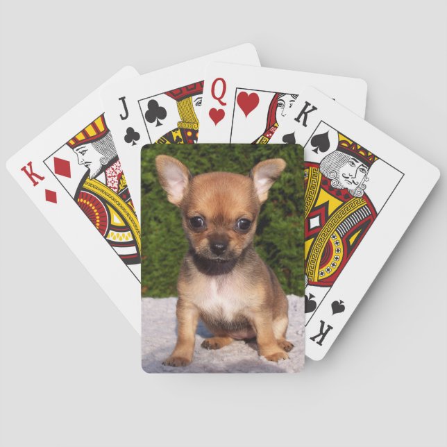 Adorable Chihuahua Puppy Dog Poker Cards (Back)