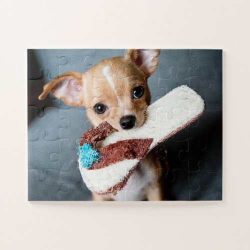Adorable Chihuahua Puppy Jigsaw Puzzle