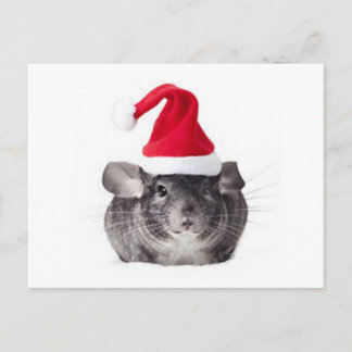 Adorable Chinchilla Santa Model Holiday Postcard