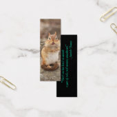Adorable Chipmunk (Office)