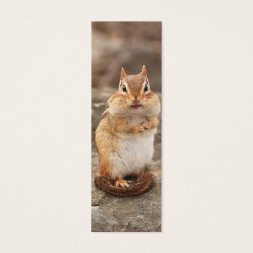Customizable Adorable Chipmunk Business Cards