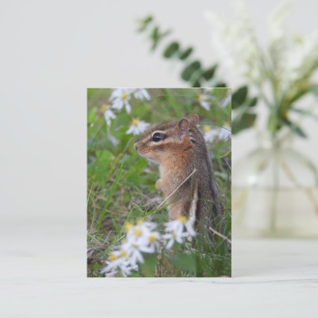 Adorable Chipmunk in flowers Postcard (Standing Front)