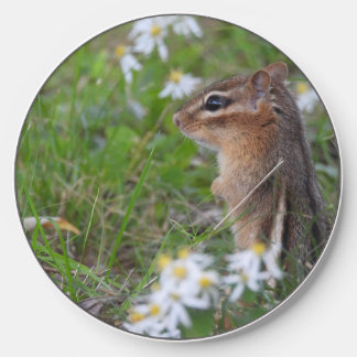 Adorable Chipmunk in flowers Wireless Charger