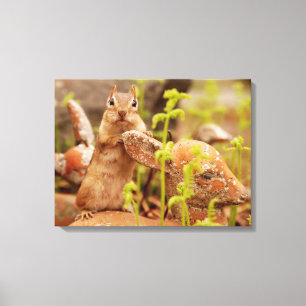 Adorable Chipmunk on Statue Wrapped Canvas Print