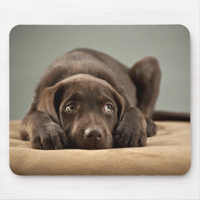 Adorable Chocolate Lab Puppy Design Mouse Pad (Front)