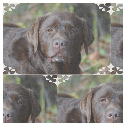 Adorable Chocolate Labrador Retriever Fabric