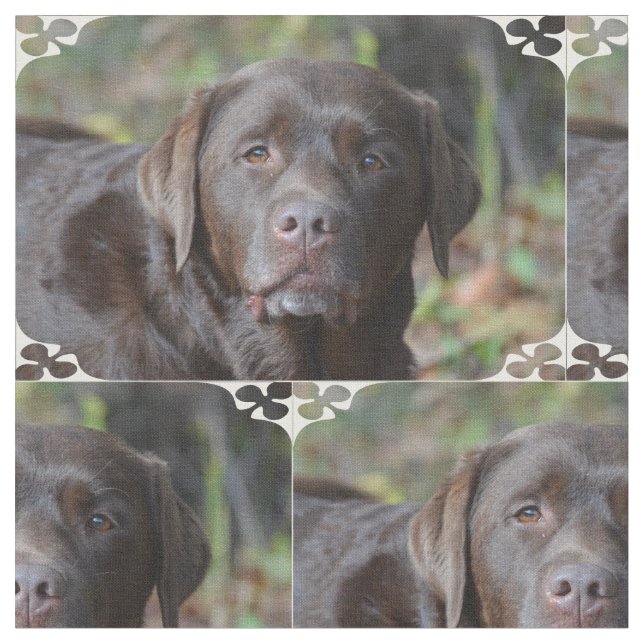 Adorable Chocolate Labrador Retriever Fabric (Close Up)