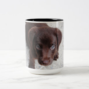 Adorable Chocolate Labrador Retriever puppy Two-Tone Coffee Mug