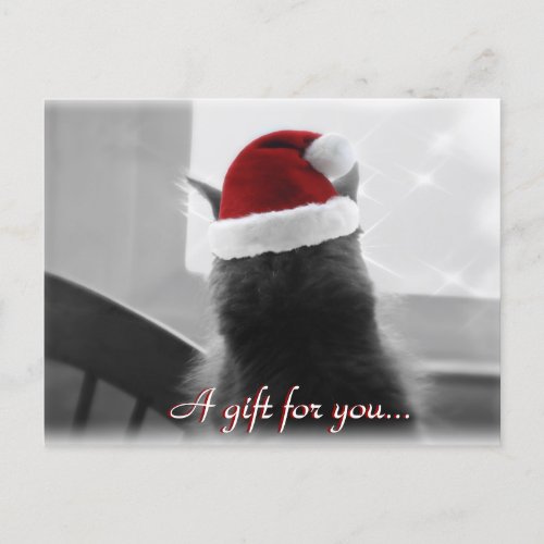 Adorable Christmas Cat Gift Certificate Postcard