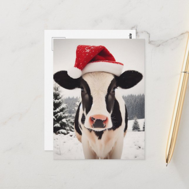 Adorable Christmas Dairy Calf Postcard (Front/Back In Situ)