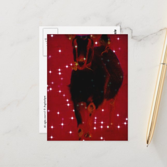 Adorable Christmas Goat  Postcard (Front/Back In Situ)
