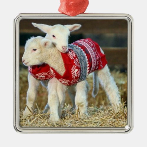 ADORABLE CHRISTMAS GOATS IN SWEATERS METAL ORNAMENT