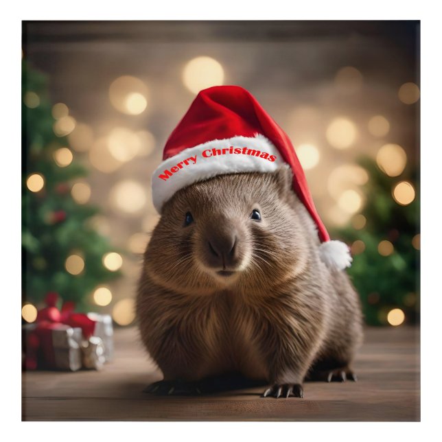 Adorable Christmas Wombat,  Acrylic Print (Front)