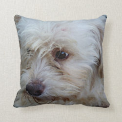 Adorable Cockapoo Puppy Mojo throw pillow