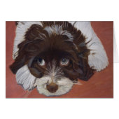 Adorable Cocker Spaniel (Front Horizontal)