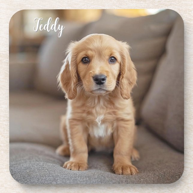 Adorable Cocker Spaniel Personalized Coaster Set (Front)