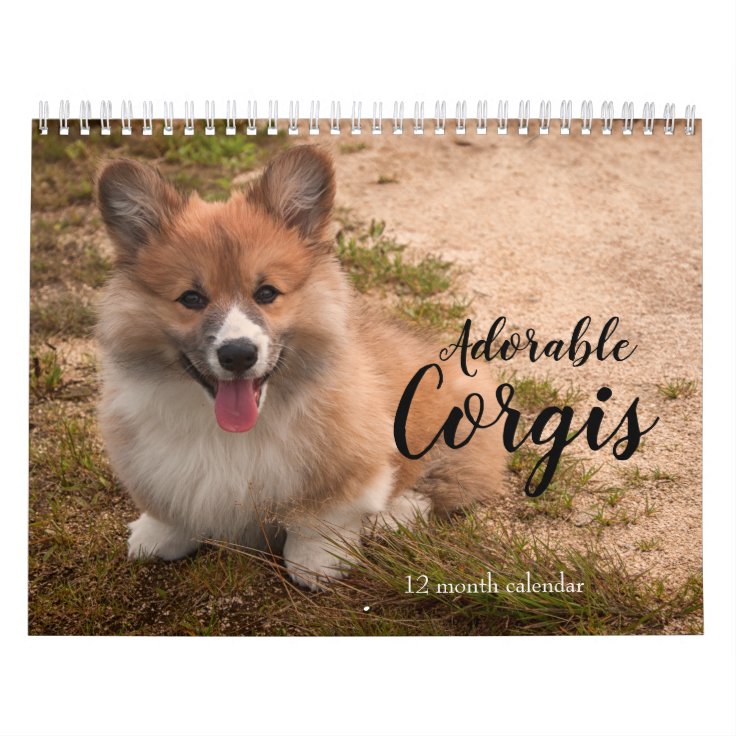 Adorable Corgi Dogs 2023 Calendar | Zazzle