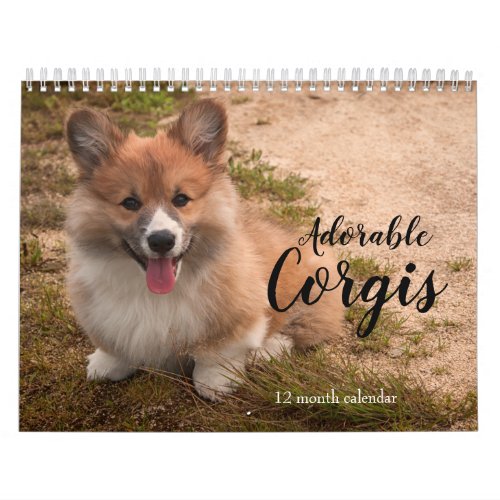 Adorable Corgi Dogs 2024 Calendar
