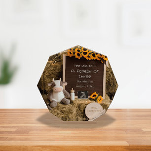 Adorable country style pregnancy announcement photo block