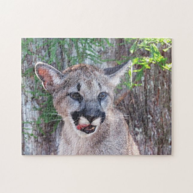 Adorable Cub - Florida Panther / Cougar / Puma Jigsaw Puzzle (Horizontal)
