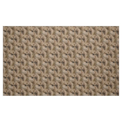 Adorable Cute Baby Camel Pattern Fabric - Custom